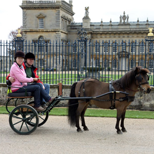 Grimsthorpe 2013